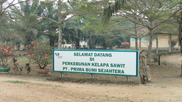 Perwakilan PT PBS Menyatakan : Bahwa Perusahaan Memperoleh HGU Seluas 503,27 Hektare pada 2016 Secara Sah dan Sesuai dengan Ketentuan Peraturan Perundang-Undangan yang Berlaku